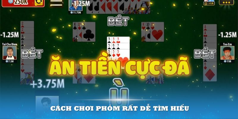 Thuật ngữ trong cách chơi Phỏm