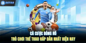 Cá Cược Bóng Rổ – Trò Chơi Thể Thao Hấp Dẫn Nhất Hiện Nay