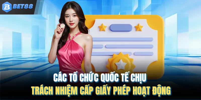 Các tổ chức quốc tế chịu trách nhiệm cấp giấy phép hoạt động