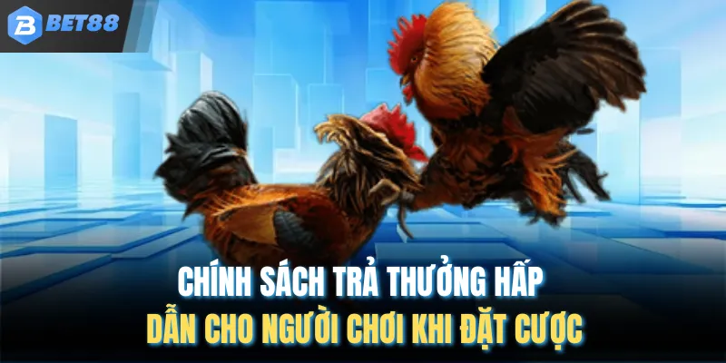 Chính sách trả thưởng hấp dẫn cho người chơi khi đặt cược