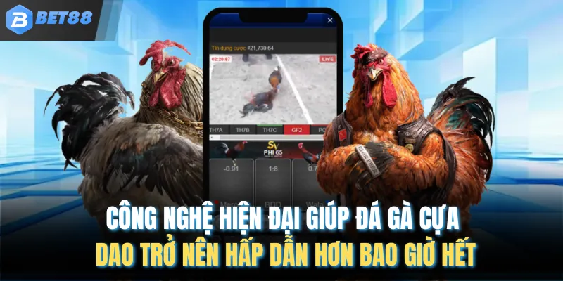 Công nghệ hiện đại giúp đá gà cựa dao trở nên hấp dẫn hơn bao giờ hết