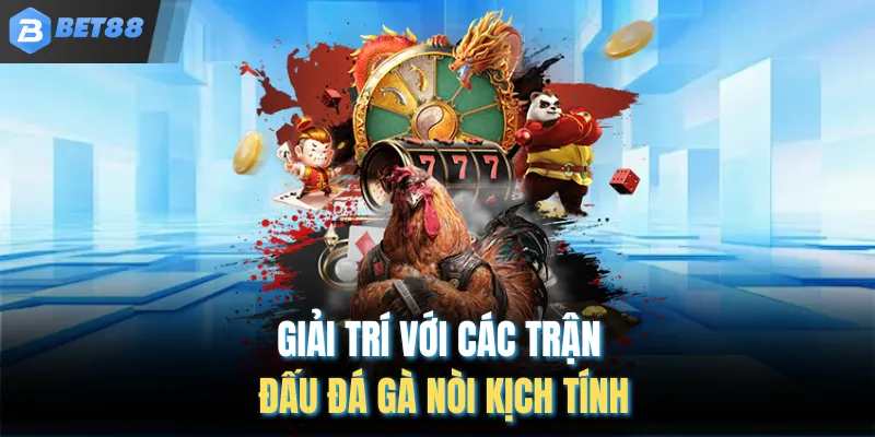 Giải trí với các trận đấu đá gà nòi kịch tính